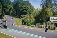 Advanced Group Silver_Grey Bikes
